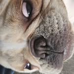 Parker Hammer - @parkerbhammer - Instagram