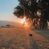 Parker Hansen - @parkerhansen107 - TikTok