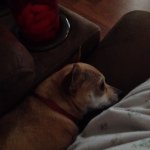 Kimberly Parker Harrell - @ginger2474 - Instagram