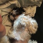 Parker Harrell - @parker_harrell - Instagram