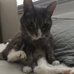 Parker Hendrickson - @mr.bob567 - Instagram