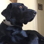 Parker - @parker.hendrickson - Instagram
