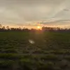 parker_herrin0 - @parker_herrin0 - TikTok