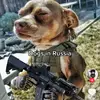 parkerherrin - @parker_herrin_official - TikTok