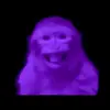 Parkerhohn - @parkerhohn - TikTok