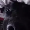 parkerhogan - @parkerhogan2 - TikTok