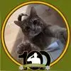 rebeccaparkerhook - @rebecca.parkerhoo - TikTok