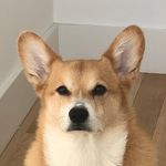parker hooper - @foopr - Instagram