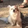 rosa_parker.hooper - @rosa_parker.hooper - TikTok