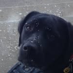 Parker Hull - @parker_pahsh - Instagram
