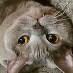 Катерина - @_parkerhunter_ - Instagram
