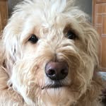 Parker Hunter - @parkerdoodlebear - Instagram