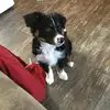 Parker Hunter - @parkerboi4 - TikTok