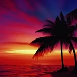 Parker Jeter - @parker.jeter12tree - Instagram