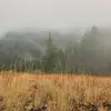 Parker Larson - @par.larson - TikTok