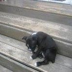 Parker LeClair - Facebook