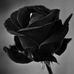Parker Long - Facebook