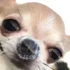 parkerlowry5 - @parkerlowry5 - TikTok