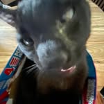 Parker Lucas - @parker.lucas.7127 - Instagram