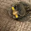 Parker Maxwell - @parker.maxwell7 - TikTok