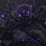Parker Mccarty - @parkermccarty628 - Instagram