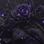 Parker Mccarty - Facebook