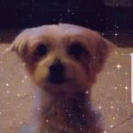 Parker Mueller - Facebook