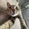 parker_murray - @parker_murray24 - TikTok