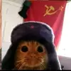 Parker Murray - @parker.murray37 - TikTok