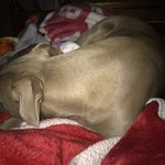 Parkernance - @parkernance5 - Instagram