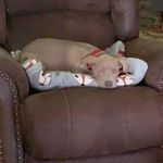 Parkernance - @parkernance2 - Instagram
