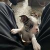 Parker - @parker.noble - TikTok