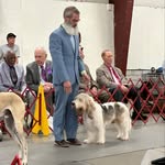 Packofdogs - @parker_pressnell - Instagram