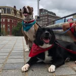 Parker & Rigby - @parks_and_riggs - Instagram