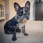 Rigby Jude Parker - @rigbyparker2020 - Instagram