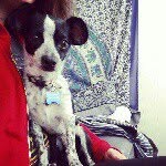 Rigby - @rigby__parker - Instagram
