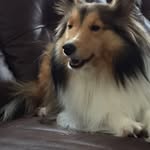 @parker_summers360 - Instagram