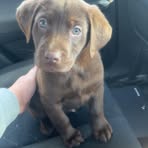 Parker Summers - Facebook