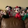 PandaParker - @parkerswenson19 - TikTok