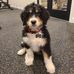 Parker Wessel - Facebook