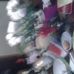 Parrish Perry - Facebook