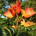Parrish Price - Facebook