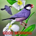 Parshan Singh - @parshan.singh.526 - Instagram