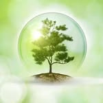 Parth Sinha - @chionophile_nature - Instagram