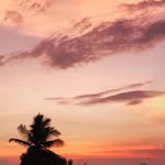 Partha Reddy - @pushpi_4210 - Instagram