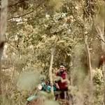 Partha Sarkar - @photowale0 - Instagram