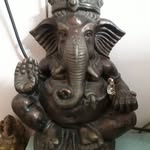 Partha Sarathi Roy - @parthasarathi.roy.79656 - Instagram