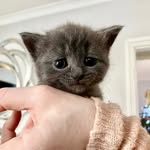 Parthiv Desai - @silly.billie.robin - Instagram