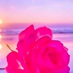 parul_amin002 - @parul_amin002 - Instagram