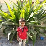 Parul Sheth - @parul.sheth.1291 - Instagram